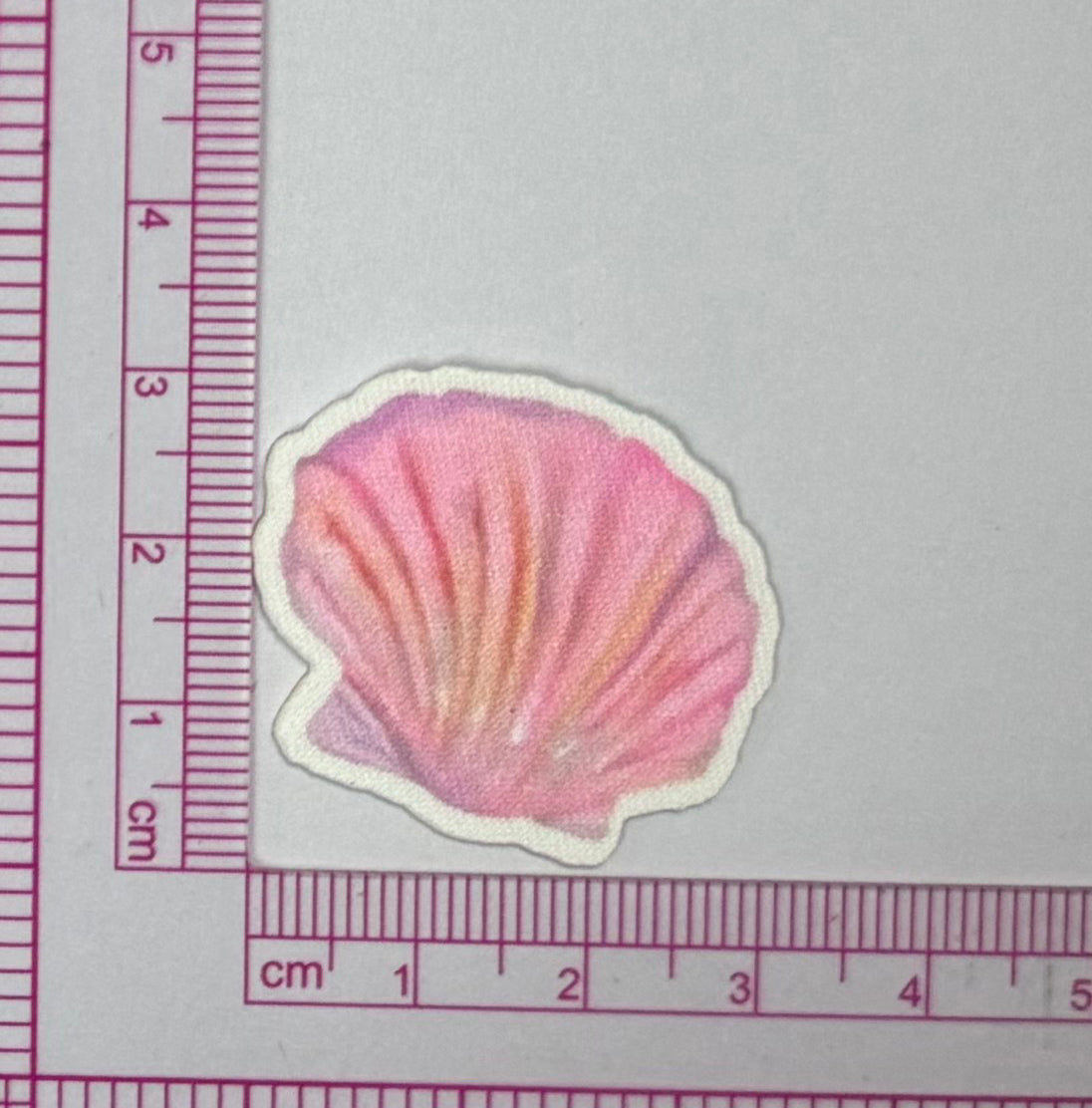 Oyster Patch