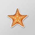 Starfish Patch